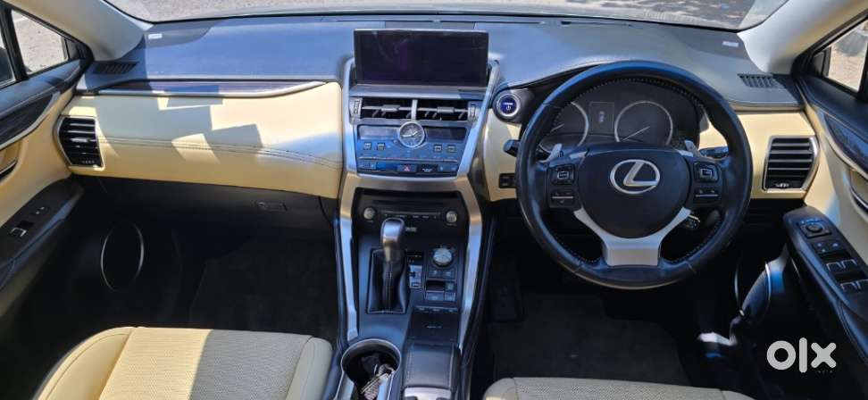 Lexus Nx Lexus-nx-300h-luxury, 2019, Petrol