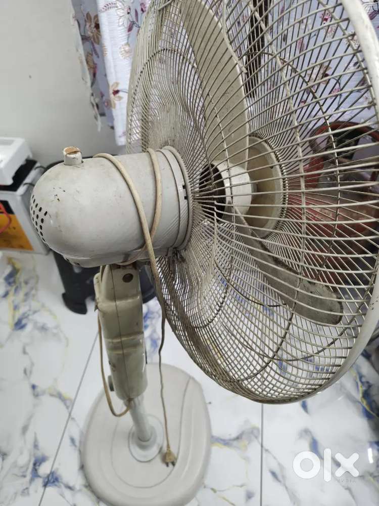 Pedestal fan
