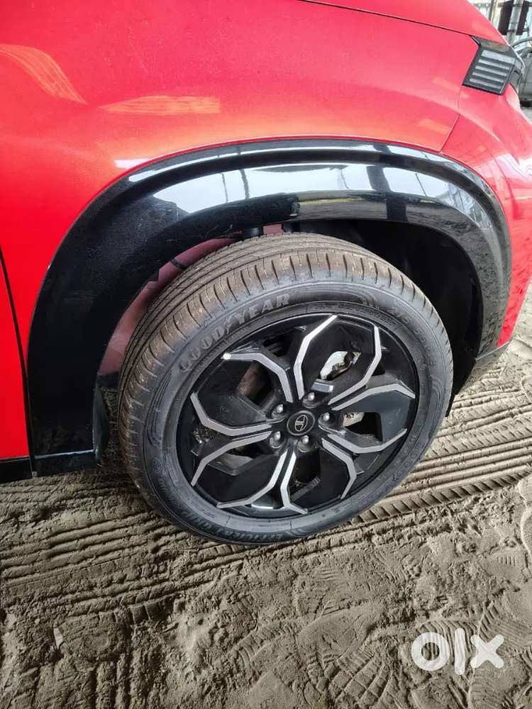 Brand New Tata Curv