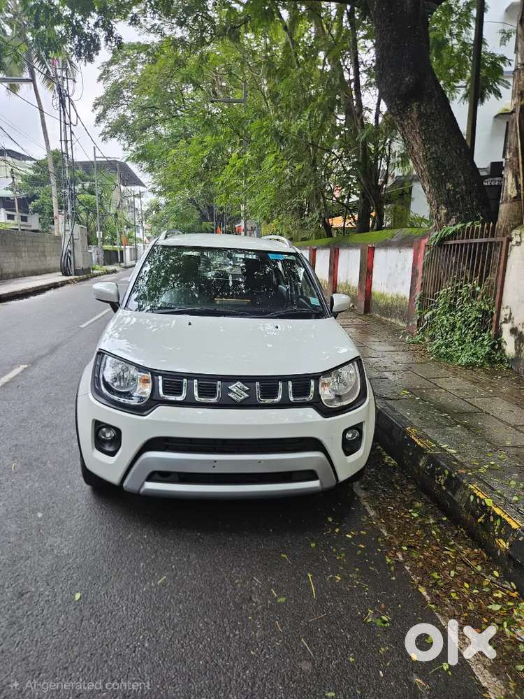 Maruti Suzuki Ignis 2025 Petrol Well Maintained