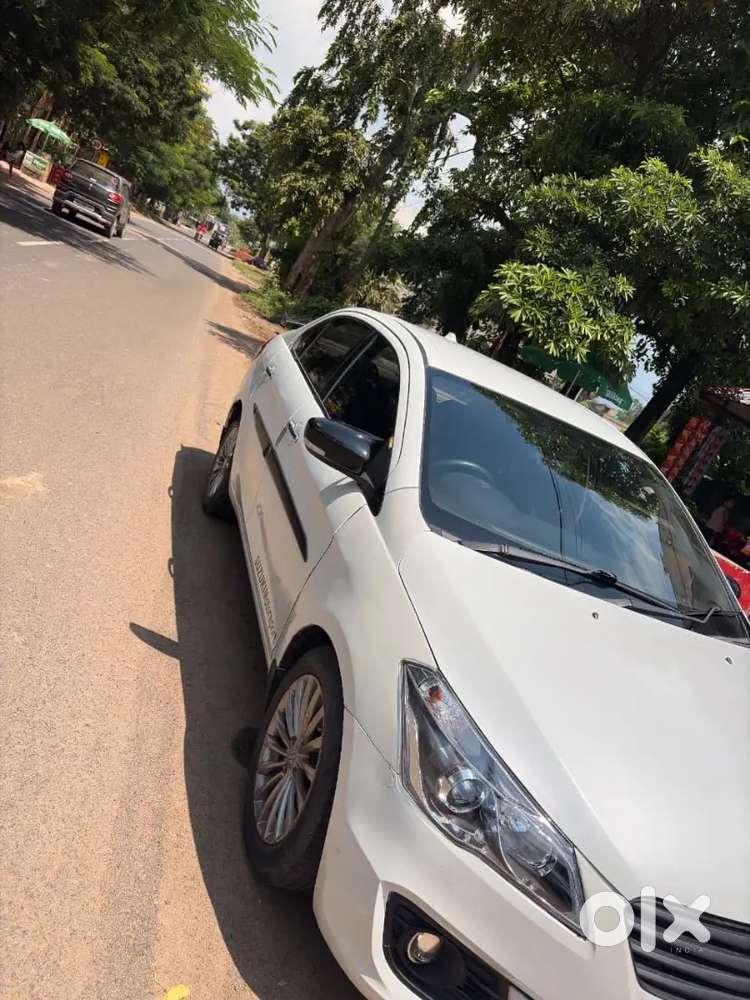 Maruti Suzuki Ciaz Zdi 2015 Model