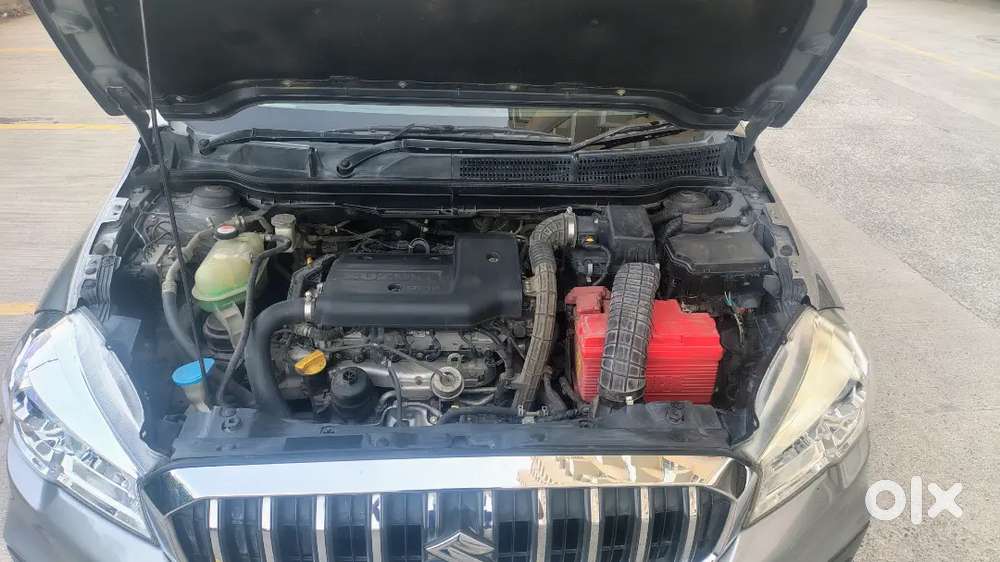 Maruti Suzuki S-cross (2019) – Diesel  First Owner