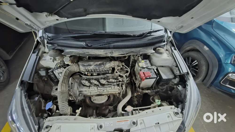 Maruti Suzuki Ciaz White Variant Petrol Automatic