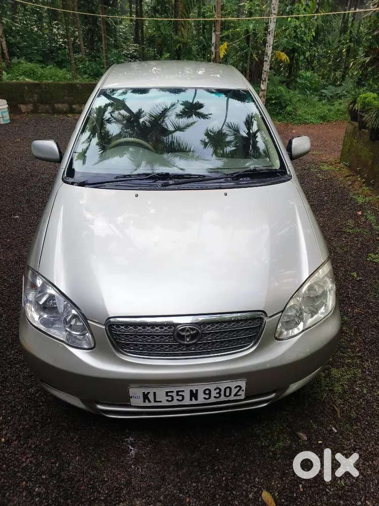 Toyota Corolla 2006 Manual Year