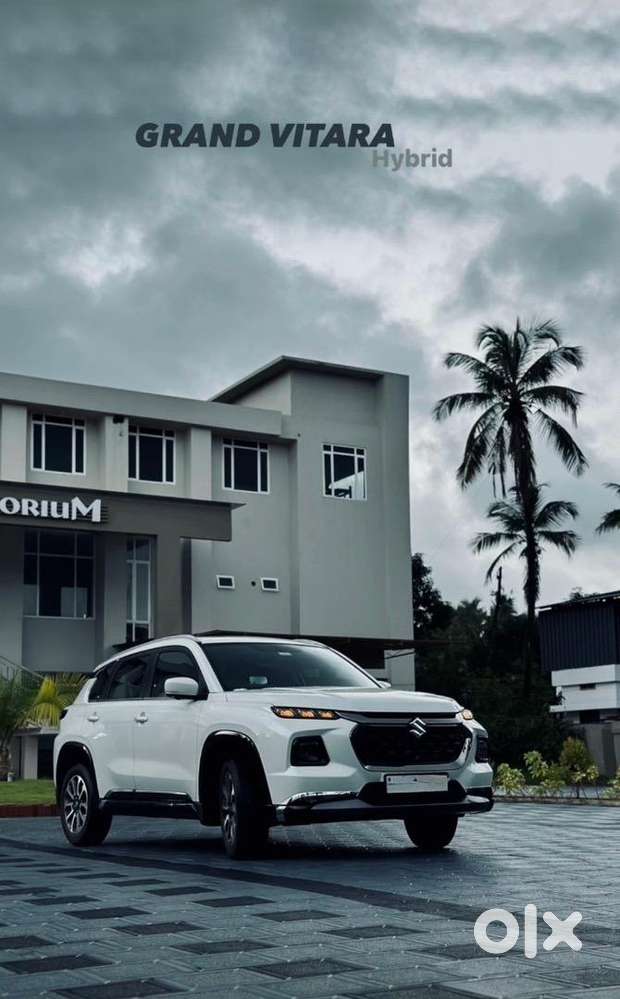 Maruti Suzuki Petrol 2023