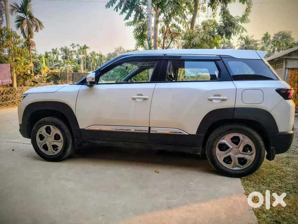 Maruti Suzuki Brezza 2024 Petrol 17100 Km Driven