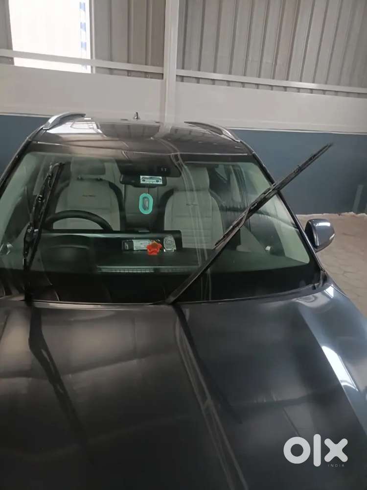 Kia Seltos 2019 Petrol Well Maintained