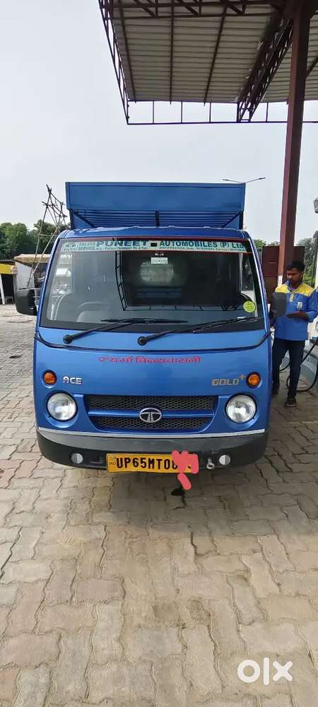 Tata Gold +  Diesel 2023