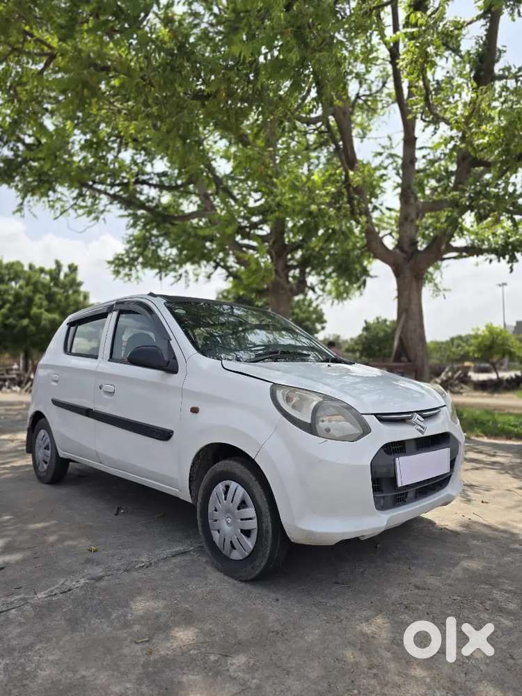 Alto 800 Vxi Top Model Cng On Paper