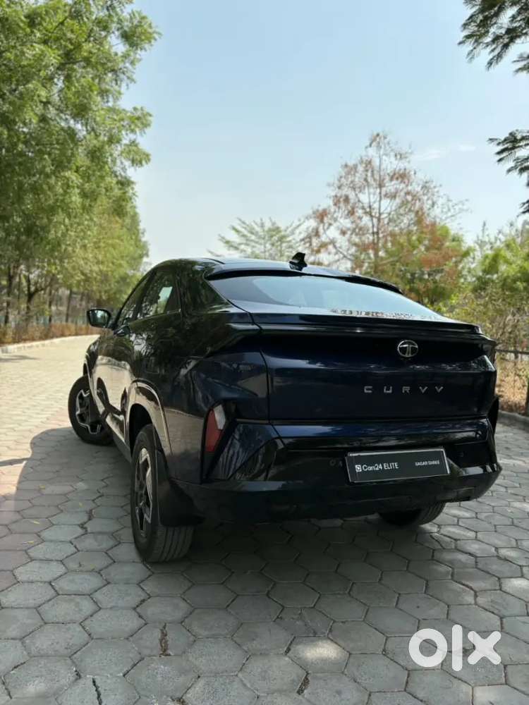 Tata Curvv Petrol Manual 2025 Km Driven