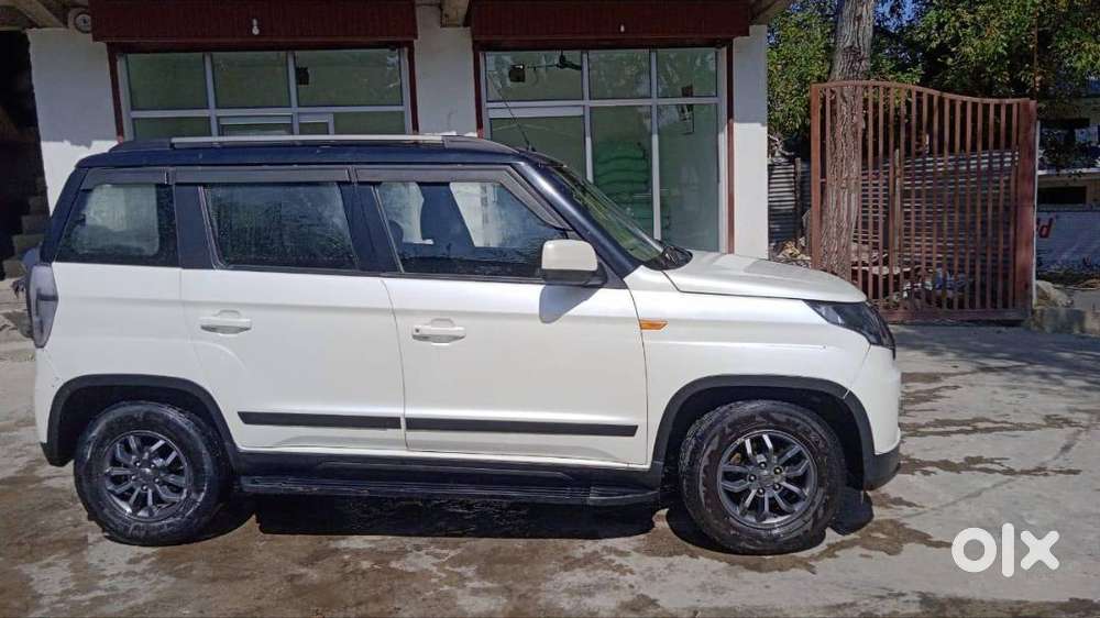 2019 Model