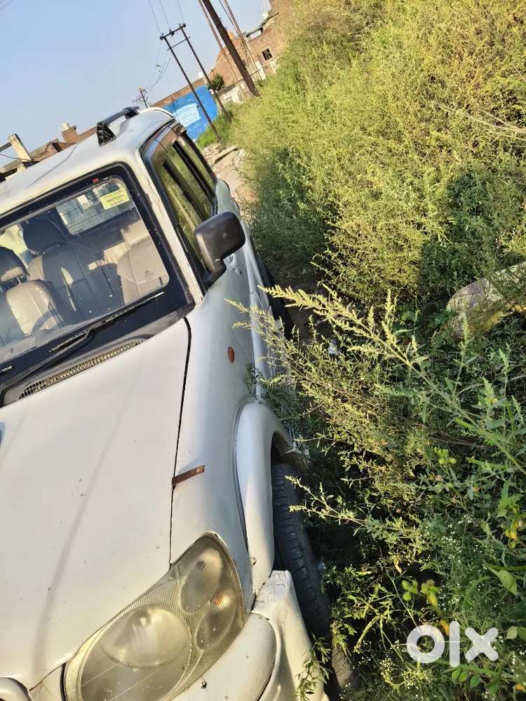 Singh Letter Pe Milegi Naam Nhi Hogi