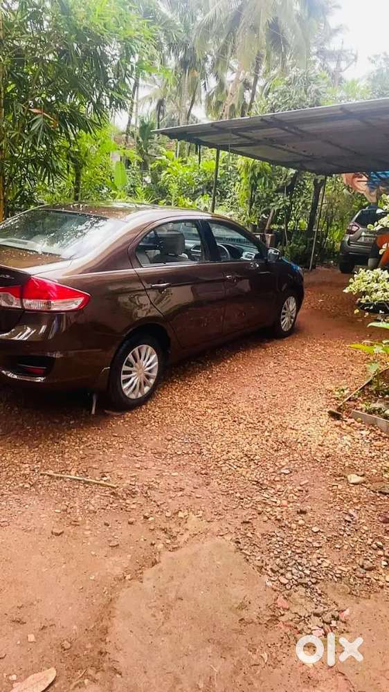 Maruti Suzuki Ciaz Vdi 2016 Model