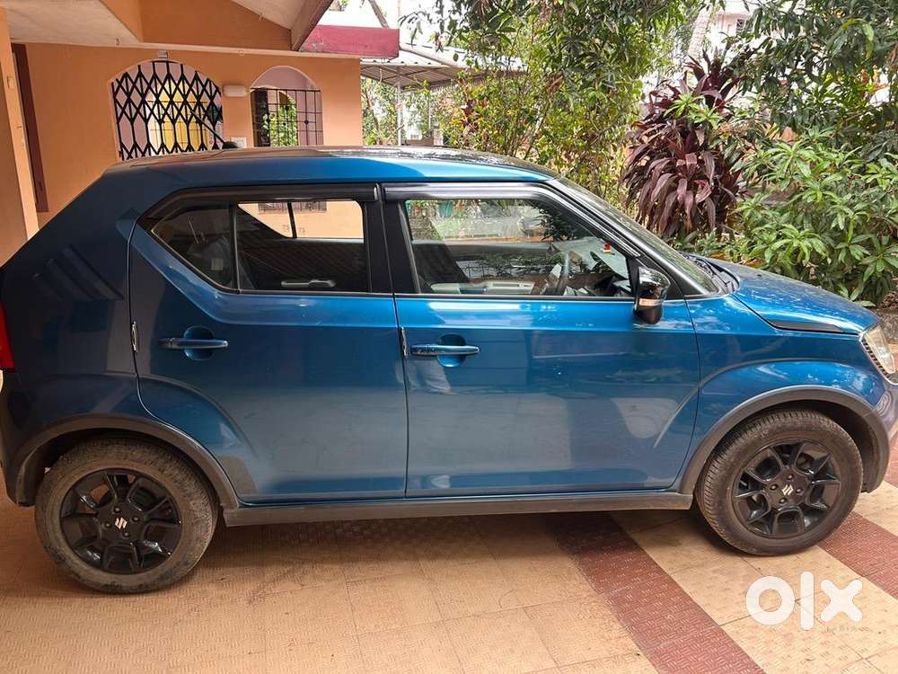 Zeta Amt Dual Tone Ignis 2019 Petrol