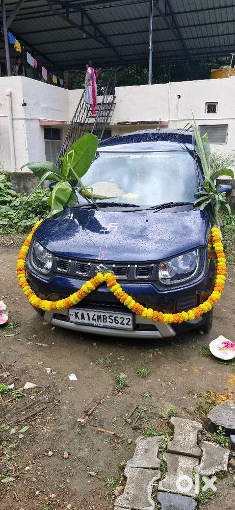 Maruti Suzuki Ignis 2024 Petrol 22000 Km Driven