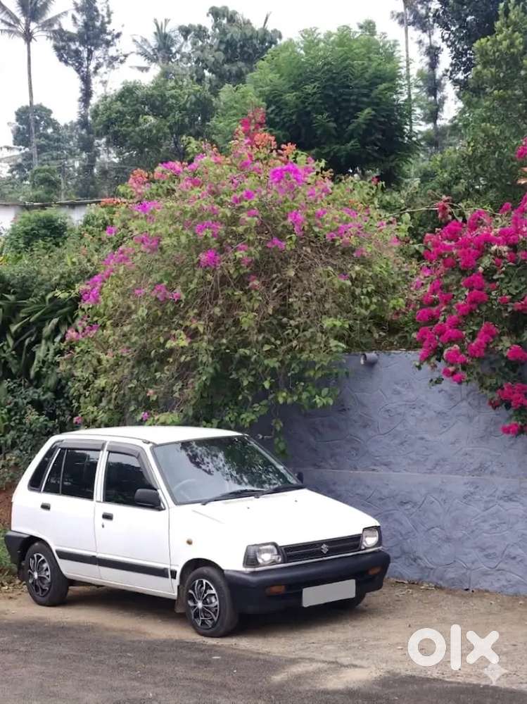 Maruti Suzuki 800 2010 Good Condition