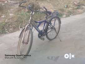 Racing cycle olx hotsell