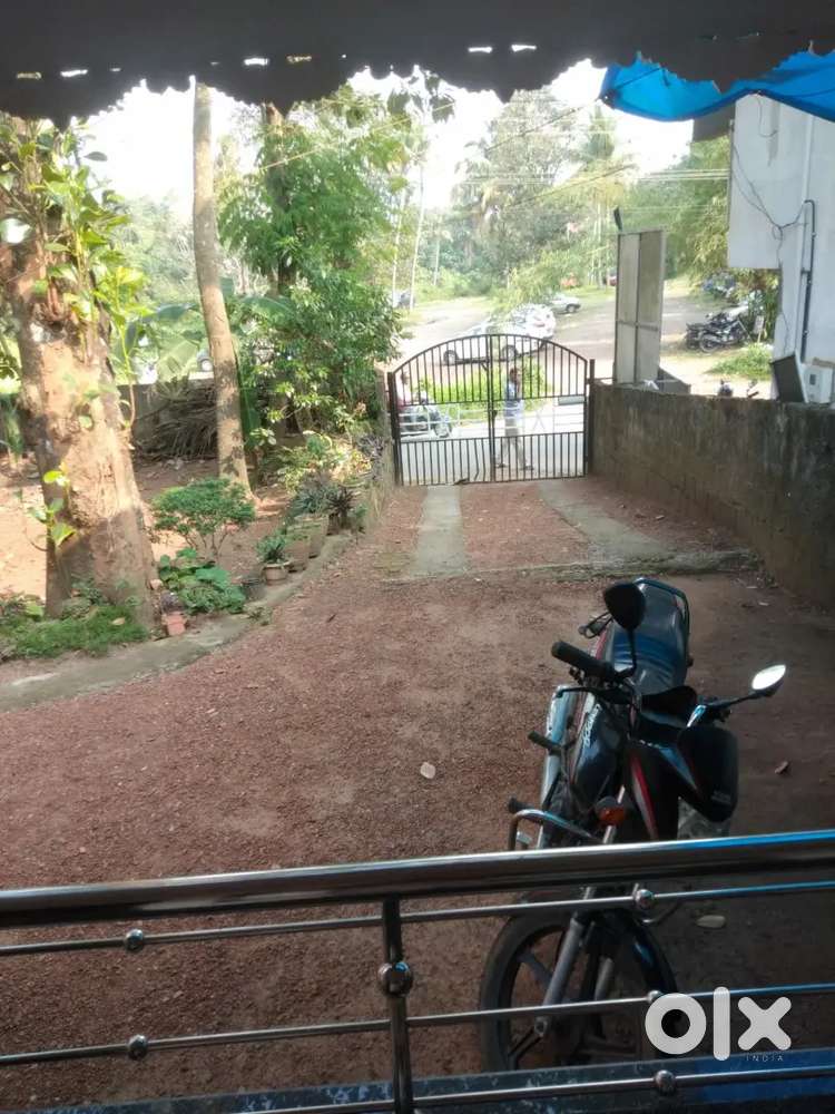 THIRUVALLA BELIVERS HOSPITAL NEAR 13.5 CENT HOUSE. For Sale Houses