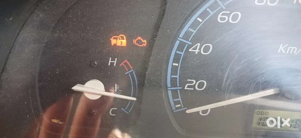 Maruti Suzuki Wagon R Flex Fuel 2009