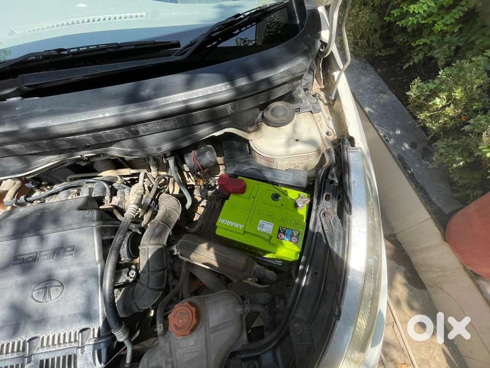 Tata Petrol Car 2010