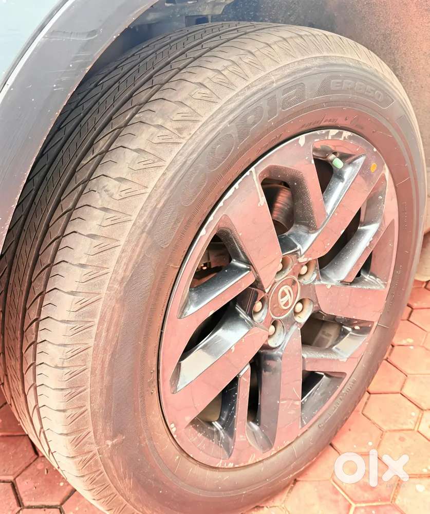 Tata Safari 2021 Diesel Well Maintained