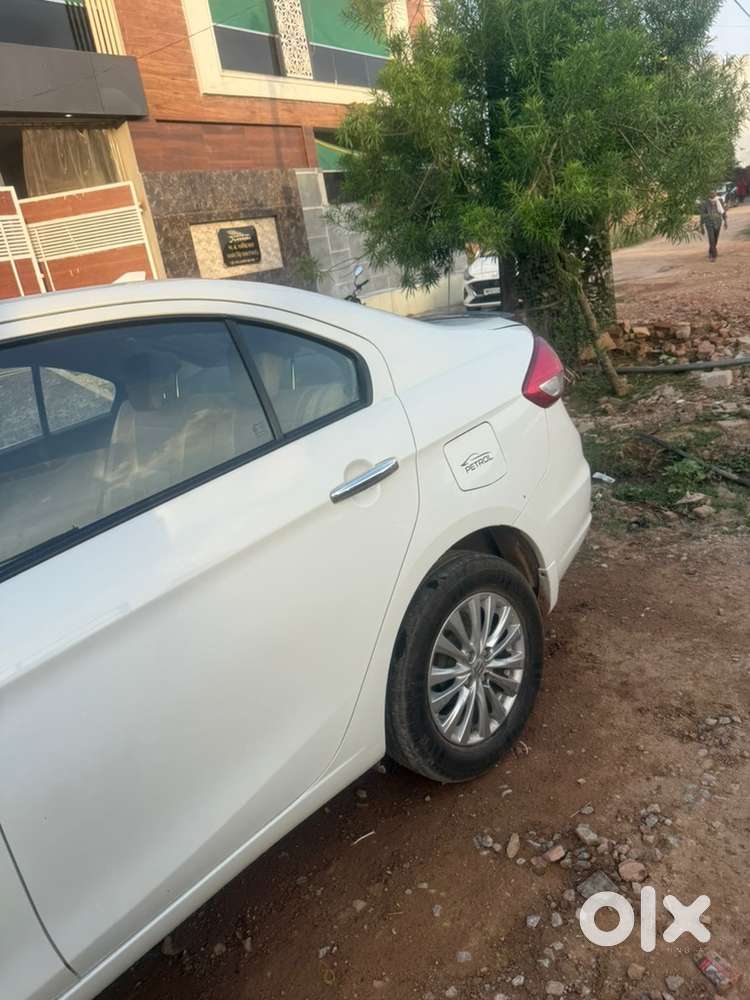 Maruti Suzuki Petrol 2023