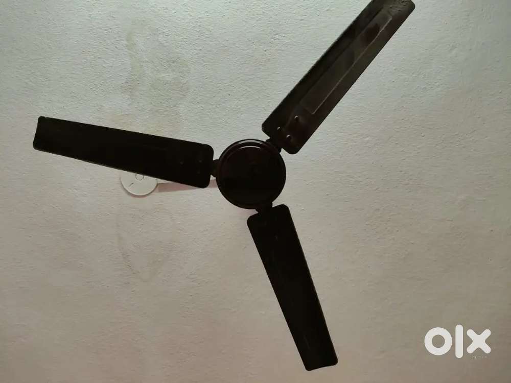 1200mm ceiling fan - 3 nos @ 1000 each