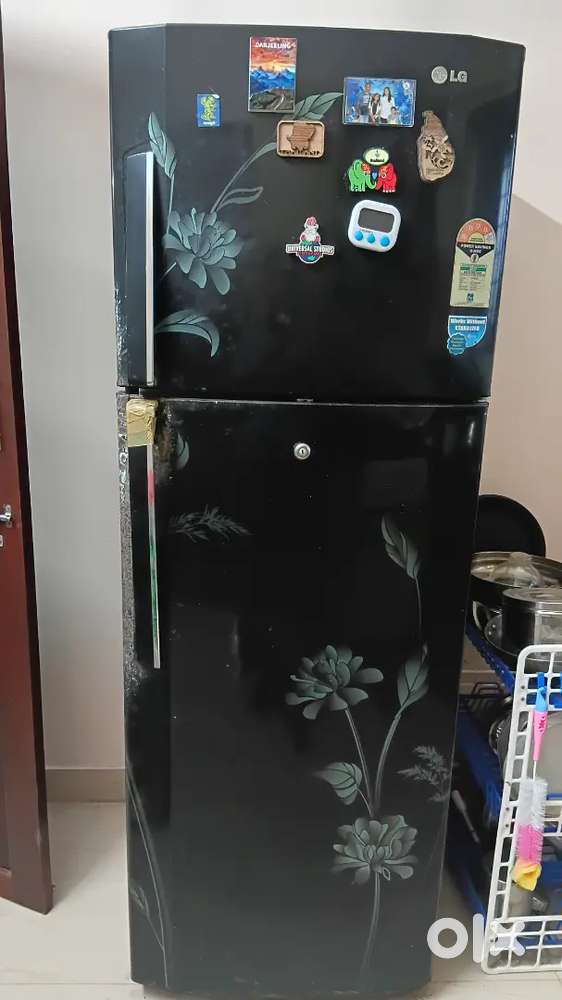 LG Double door. 320 L. 2013
