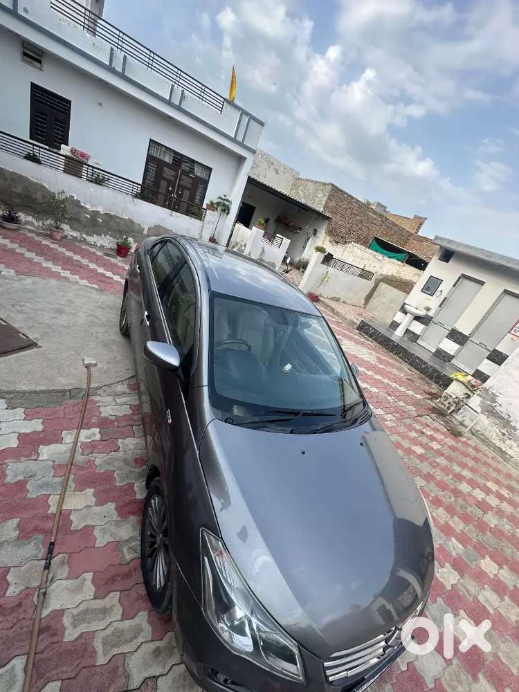 Maruti Suzuki Ciaz 2016 Diesel