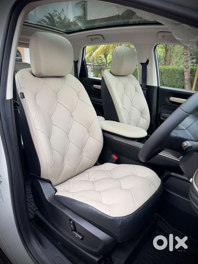 Mg Windsor Ev Essence, 2025, Electric