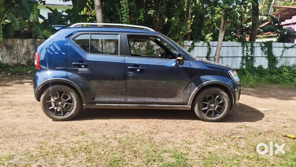 Maruti Suzuki Ignis 1.2 Zeta Amt, 2024, Petrol