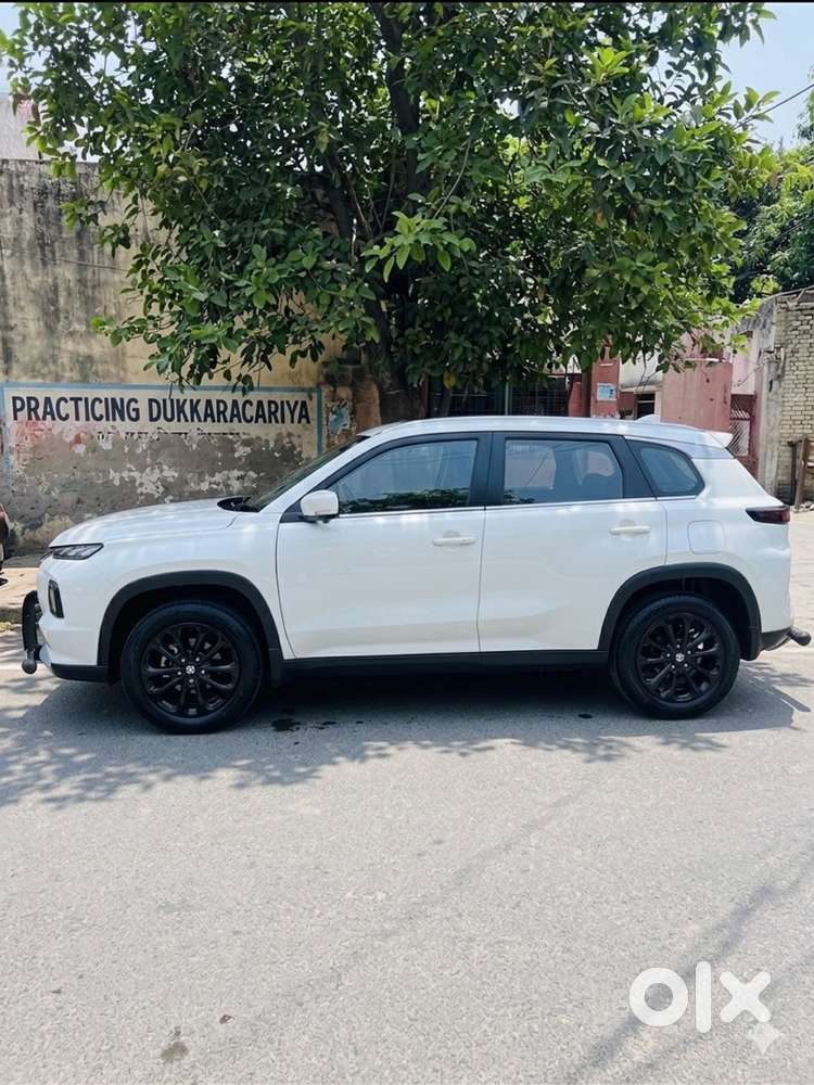 Maruti Suzuki 2022 Year