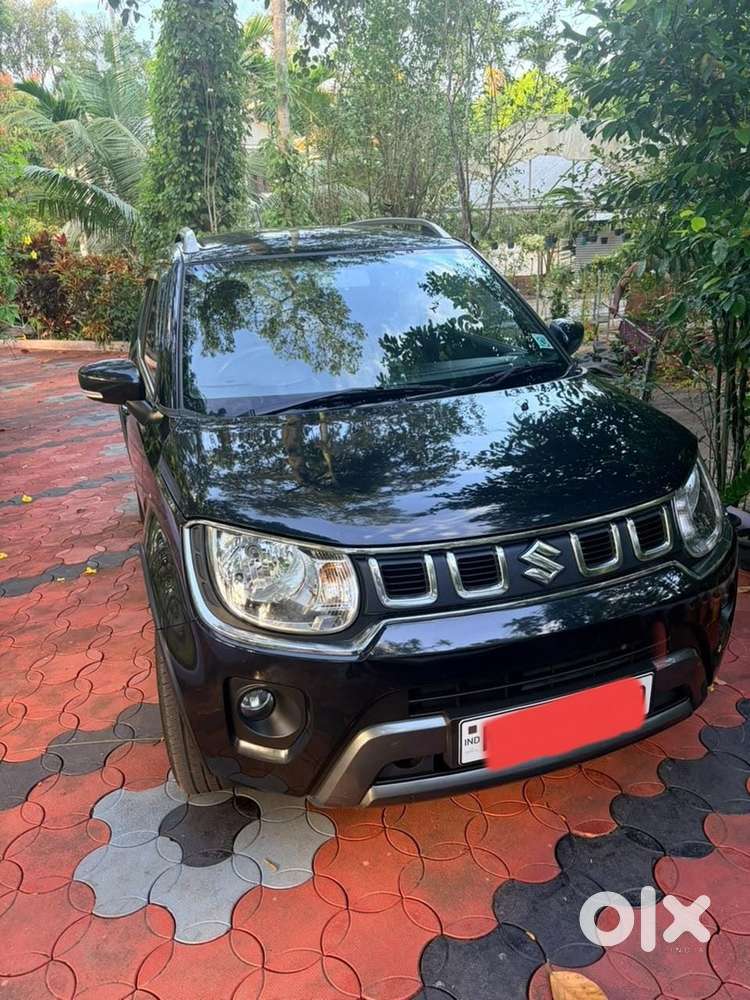 Maruti Suzuki Ignis Petrol 2024 Amt