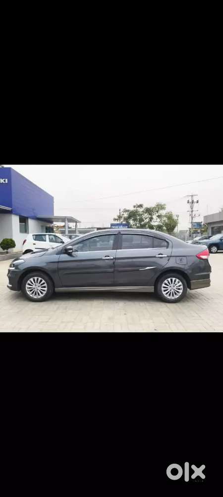 Maruti Suzuki Ciaz 2023 Petrol 31000 Km Driven