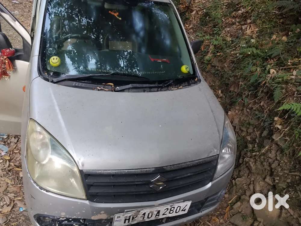 Maruti Suzuki Wagon R Flex Fuel 2010