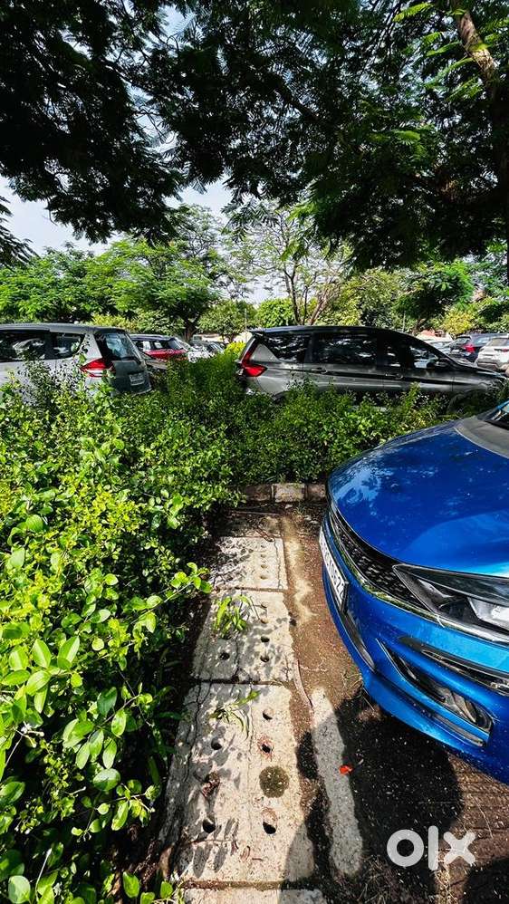 Tata Tiago 2024 Cng & Petrol Amt Well Maintained