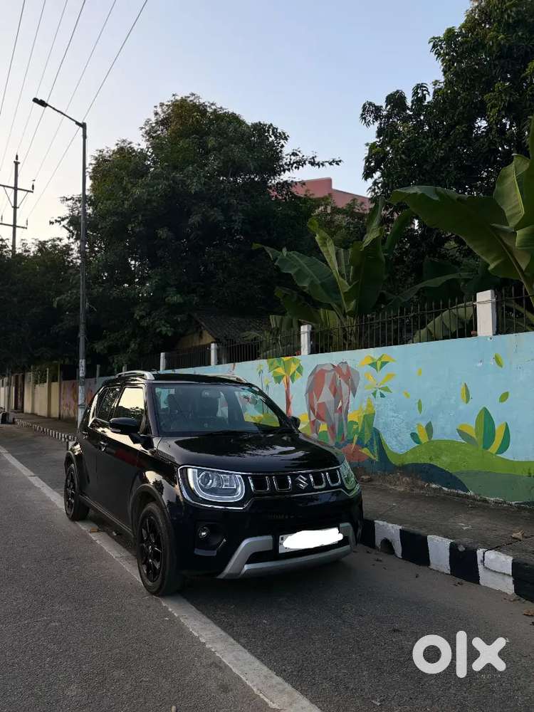 Maruti Suzuki Ignis 2025 Petrol 5000 Km Driven