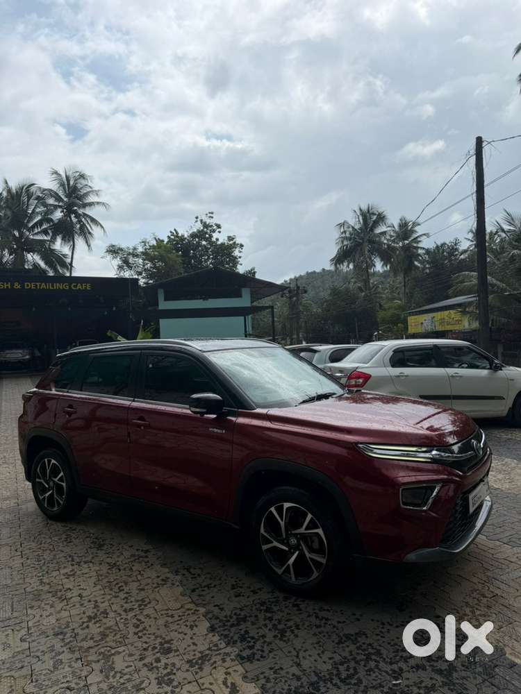Toyota Urban Cruiser 2024
