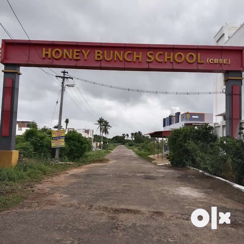 Infront Of Honey Bunch School - Lands & Plots - 1792670403