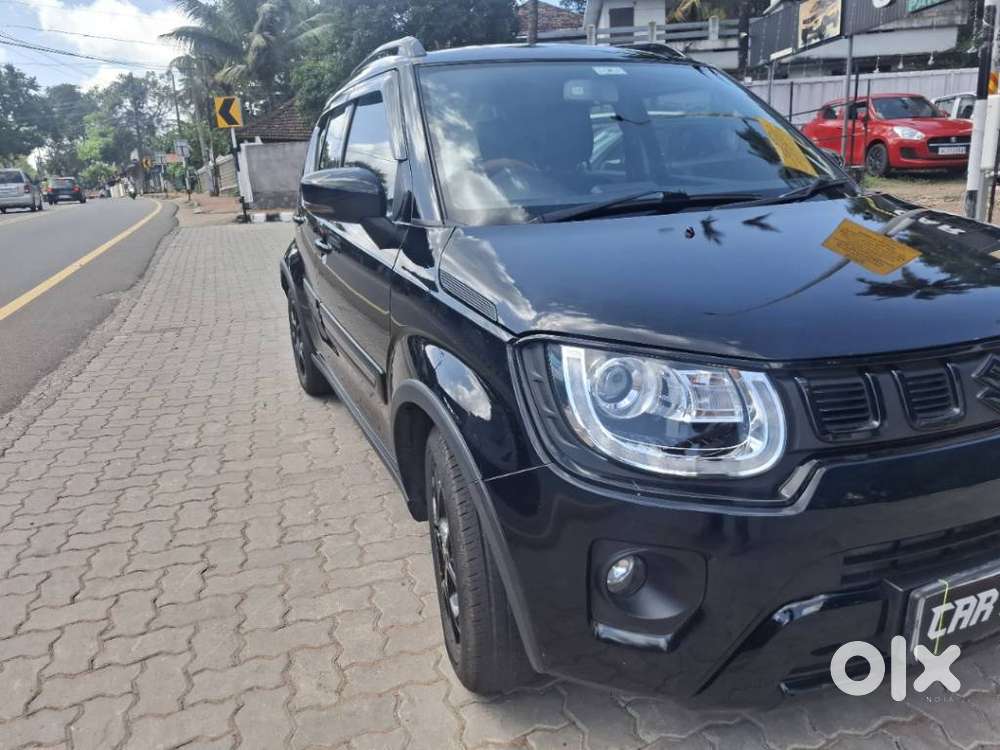 Maruti Suzuki Ignis 1.3 Alpha, 2024, Petrol