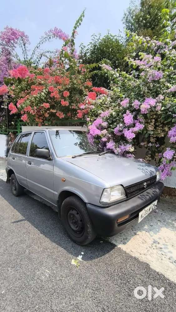 Maruti Suzuki 800  Paper Till 2029