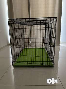 Crates Pets for sale in India OLX
