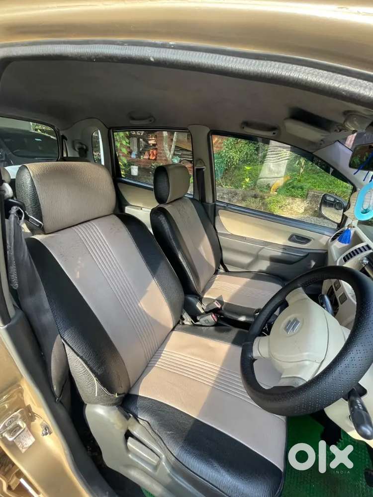 Family Used Zen Estilo