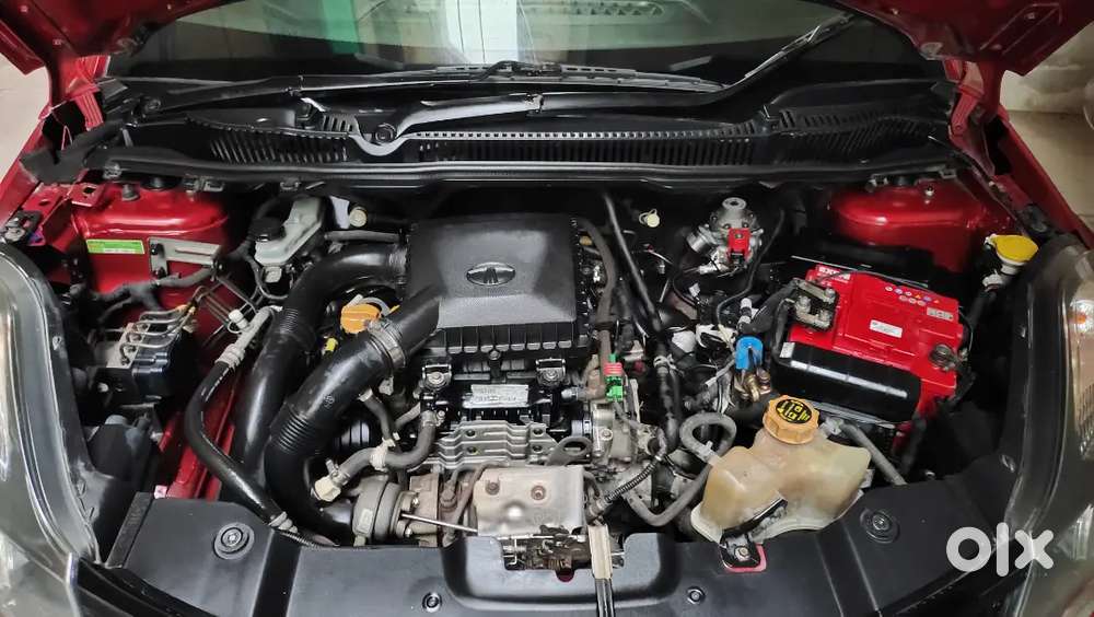 Tata Nexon Petrol Cng 2018 Model With 79000 Km