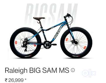 Big store sam cycle