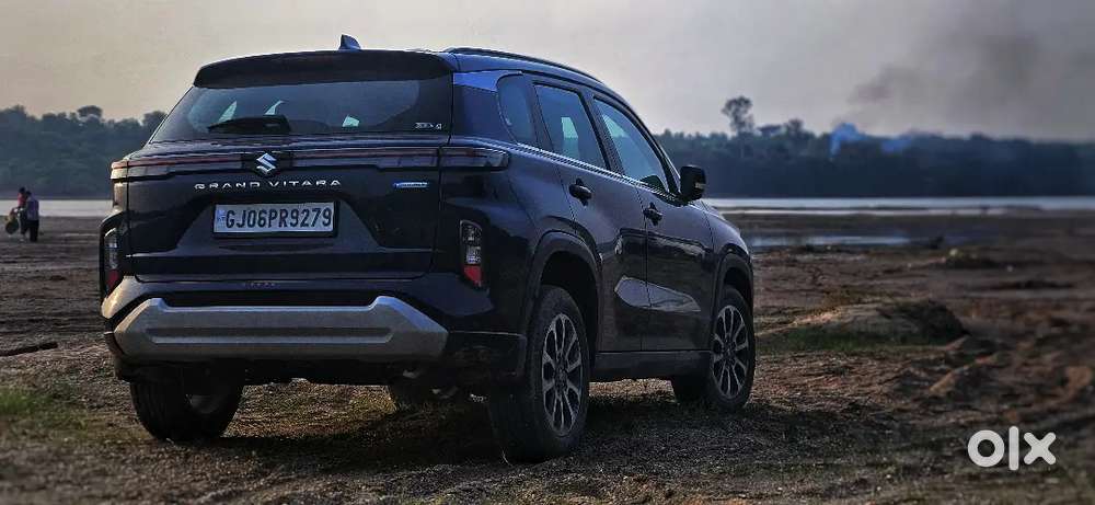 Maruti Suzuki Grand Vitara 2024 Petrol Well Maintained