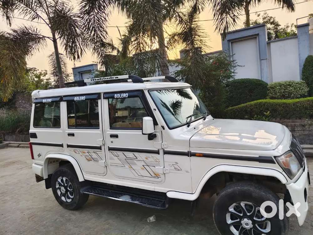 Beloro2019