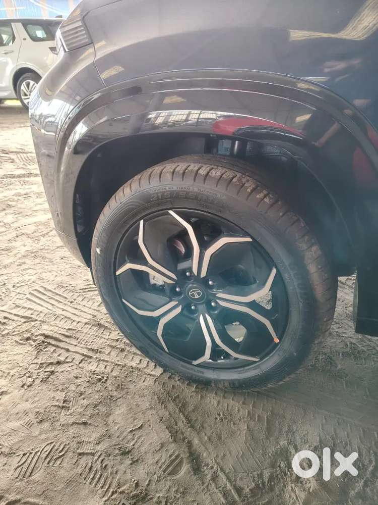 Brand New Tata Curv