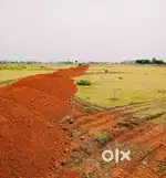 NAYA RAIPUR SE MATR 1.5 KM RESIDENTIONAL PLOT NH - 53 HIGHWAY SE 1 KM