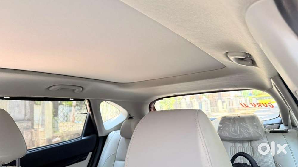 Kia Seltos 2025 Petrol Well Maintained